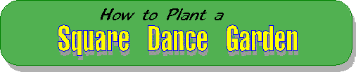 Square Dance Garden